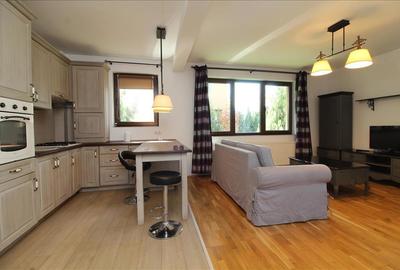 Apartament cu 2 camere semidecomandat în Europa - 2