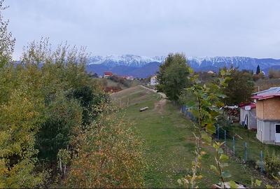 Comision 0%, TEREN INTRAVILAN SAT PESTERA BRASOV Comision 0%, TEREN INTRAVILAN SAT PESTERA BRASOV - 3