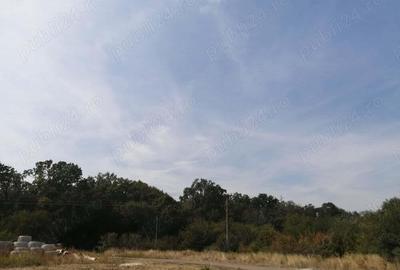 Promovam teren locuin?e ?i func?iuni complementare, SAD la parter ?i doua apartamente, 477 mp - 2