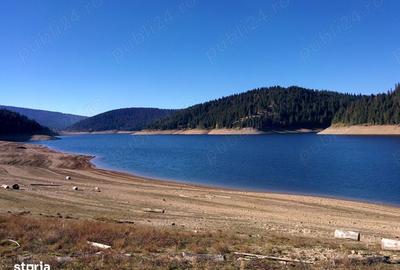 Teren de 10000 mp, în Beliș - 3