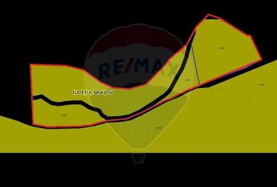 Oportunitate de investitie ! Teren intravilan, 19086 mp, Poiana Brasov - 3