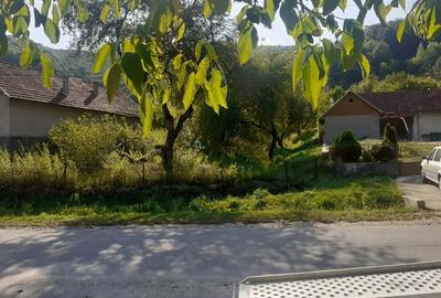 Teren de 6470 mp, în Nădrag - 3