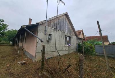 RECO  casa batraneasca Salard - 10