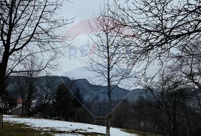 Teren Zarnesti /Bran/Predelut6 Strada Pe tarina Teren Zarnesti /Bran/Predelut6 Strada Pe tarina - 4