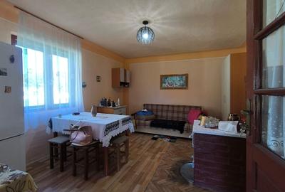 Casă individuală cu 2 camere cu Canalizare în Valea Drăganului - 9