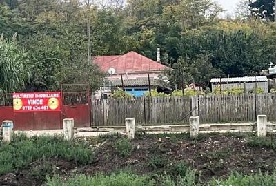 Casă cu 3 camere cu Teren 4429 Mp în Malcoci - 3