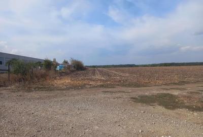 Teren de 10000 mp, în Dascălu - 6