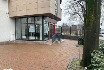 Spațiu comercial, de 851 mp, în Traian - 4