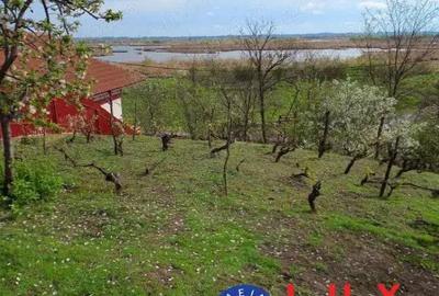 ID 7852 Teren pentru casa - Strada Orizontului - 3
