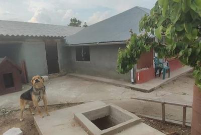 Casă cu 5 camere cu Teren 2500 Mp în Central - 8