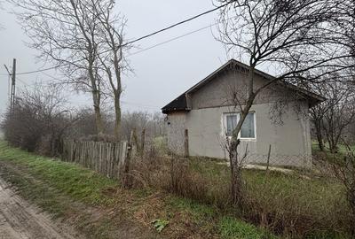Teren de 2461 mp, în Sârbeni - 8