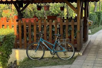 Casă cu 4 camere cu Teren 750 Mp în Gavojdia - 16