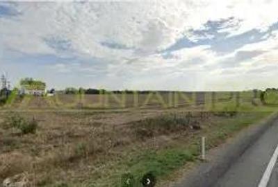 Pecica, jud Arad, 6ha teren de vanzare Pecica, jud Arad, 6ha teren de vanzare - 5