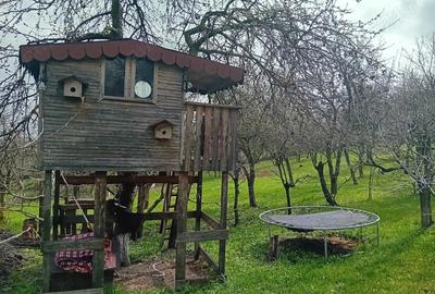 Casa de vanazare in Sandule?ti - 1