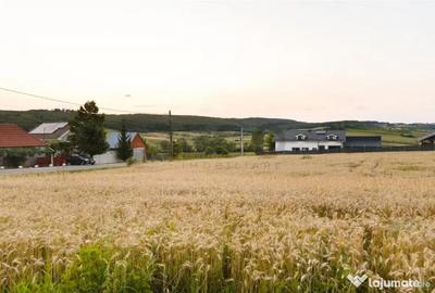 Teren de 1000 mp, în Lăzăreni - 7