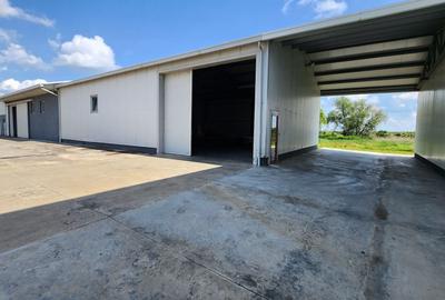 Spatiu industrial productie/ depozitare, Timiș - 9