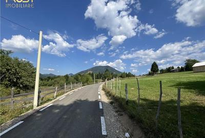Teren intravilan la munte Pasul Tihuta - 12