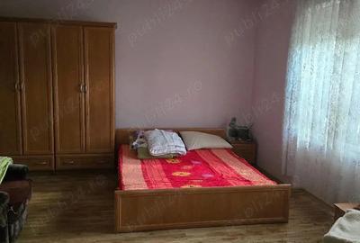 Casă cu 3 camere cu Teren 2500 Mp în Pietroasa - 2