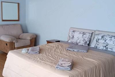 Garsonieră în Ferdinand - 4