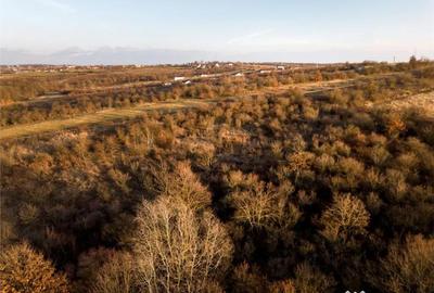 Teren în Săldăbagiu de Munte - 12