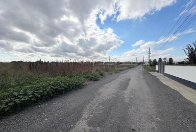 Teren Construcții intravilan de 3334 mp, în Valu lui Traian - 6