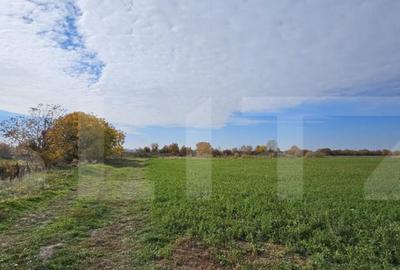 Teren in Razvad intravilan 1400mp cu acces la curent electri - 2