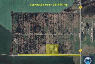 Teren intravilan de vanzare, zona Exterior Sud, 57000 mp #16562 - 2