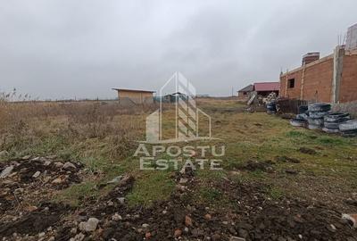 Teren intravilan 537mp , oportunitate investie, situata in Sacalaz. - 4