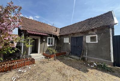 Casă individuală cu 4 camere cu Teren 5526 Mp în Cheșa - 2