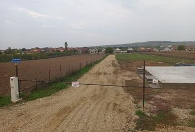 Parcela casa-Biharia, 500 mp,utilitati.Pret 25900 euro neg, comision 0 - 2