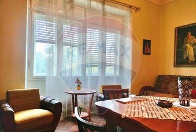 Casa istorica in zona centrala Ludus- Mures - 8