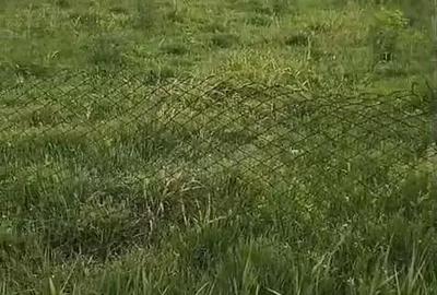 Casă cu 6 camere cu Teren 1400 Mp în Checea - 5