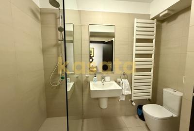 APARTAMENT DE LUX | MOBILAT | UTILAT | HERASTRAu | 150 mp - 18