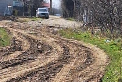 Crevedia - teren 10.000 mp. intravilan Crevedia - teren 10.000 mp. intravilan - 6