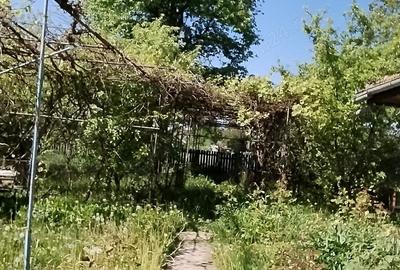 Vand casa cu gradina la Bode?tii de sus,str.Ciresului nr. 12. - 6