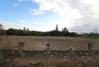 Parcela teren intravilan, 3169mp, Tetila - 3