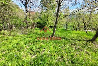 Teren intravilan in Breaza 1142 mp deschidere 46m 35e mp - 9