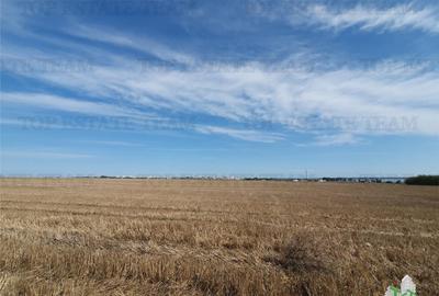 Teren Techirghiol - 3