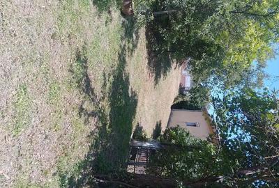 Casă cu 3 camere cu Teren 2000 Mp în Brănișca - 2