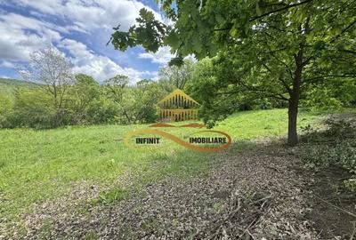 Teren intravilan | 3.128 mp INTRAVILAN | Luncani-de vanzare - 4