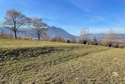 Teren intravilan zona Bran-Tohanita, judetul Brasov intre 500 si 1000 mp la 5 km de Moieciu - 4