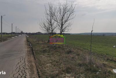 Teren de 7240 mp, în Cernica - 2