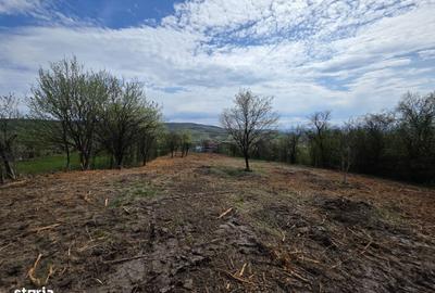 Spațiu comercial, în Bârsău - 3