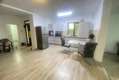 Casa 5 cam Dumbravita IKEA140mp utili teren 342mp - 19