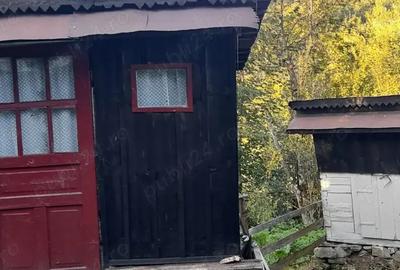 Casa de vanzare pe Transapuseana - 4