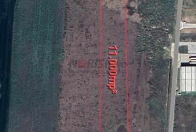 Terenuri Clinceni - 2.500mp -> 15 Ha - 4