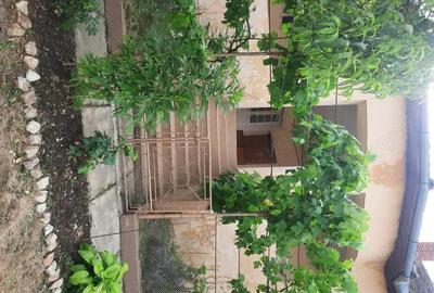 Casă cu 6 camere în Alioș - 8