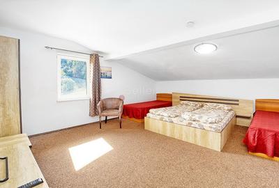 Pensiune Turistica Montana - 18