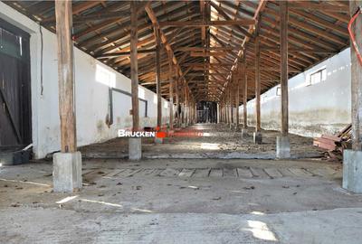 MICRO-FERMA CASA IN VOIVOZI - BIHOR - 9