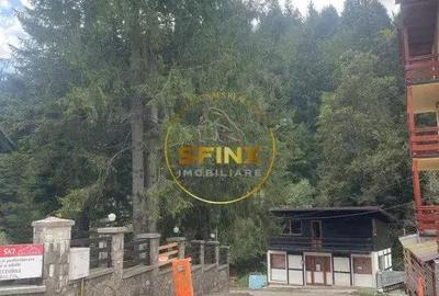 Pensiune 12 Camere ?i Restaurant - sta?iune turistica montana Bu?teni Pensiune 12 Camere ?i Restaurant - sta?iune turistica montana Bu?teni - 18